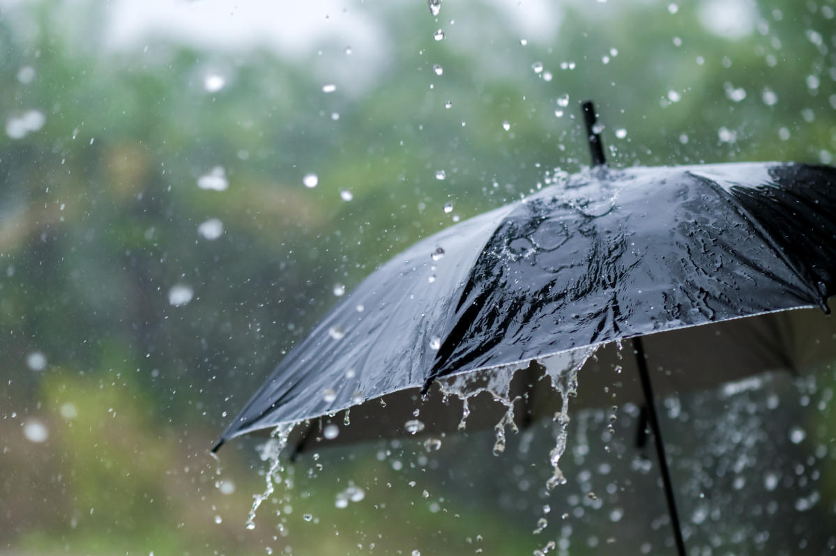 BC省发布大雨大风预警，雨季心情如何抵抗抑郁，专家说快乐只需三件事！