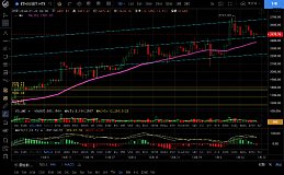 1.20行情触底反弹 关键支撑未破龙头结束？