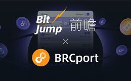 「项目前瞻」BRCport, BRC20世界的全栈基础设施