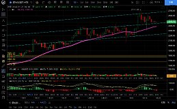 1.21周末波动不大观望为主