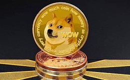 DOGE疯涨引交易者疯狂.下周市场将如过山车波动、狗狗币还行不行了？