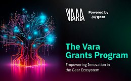 Vara Grant 计划：加速 Gear 生态系统的创新应用发展