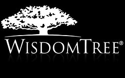 WisdomTree：公司提供的消费者应用程序是更好的BTC持有方式