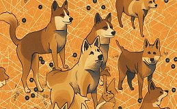 3 月份柴犬价格有望飙升 800% – SHIB 价格大幅上涨即将到来