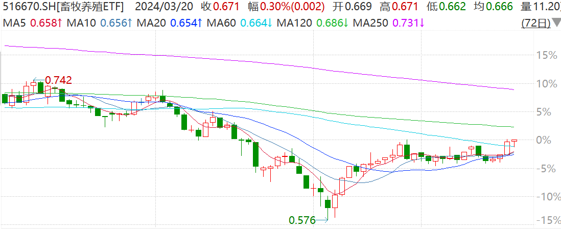 猪肉股早盘探底回升，畜牧养殖ETF(516670)回踩60日均线后迅速翻红，昨日融资买入额创阶段新高