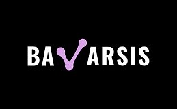 BAVARSIS：加密货币市场的创新先锋