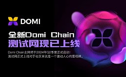 2024年最亮眼杀手级公链项目DOMI即将推出