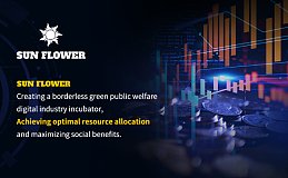 全球化背景下,Sunflower该何去何从？
