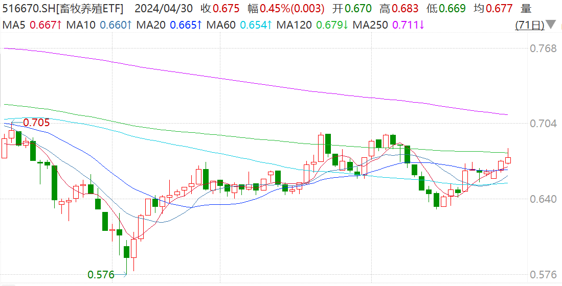 畜牧养殖ETF(516670)节前冲击四连涨，播恩集团涨停，机构：产能去化和供应下降趋势不改