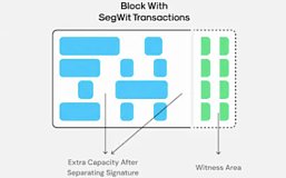 比特币原生扩容方案回顾：SegWit和Taproot