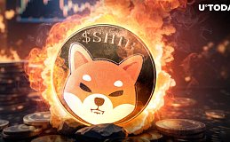 Shiba Inu 今日飙升、超越 Cardano