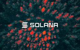 Solana五月发行近50万种代币 为何SOL一骑绝尘