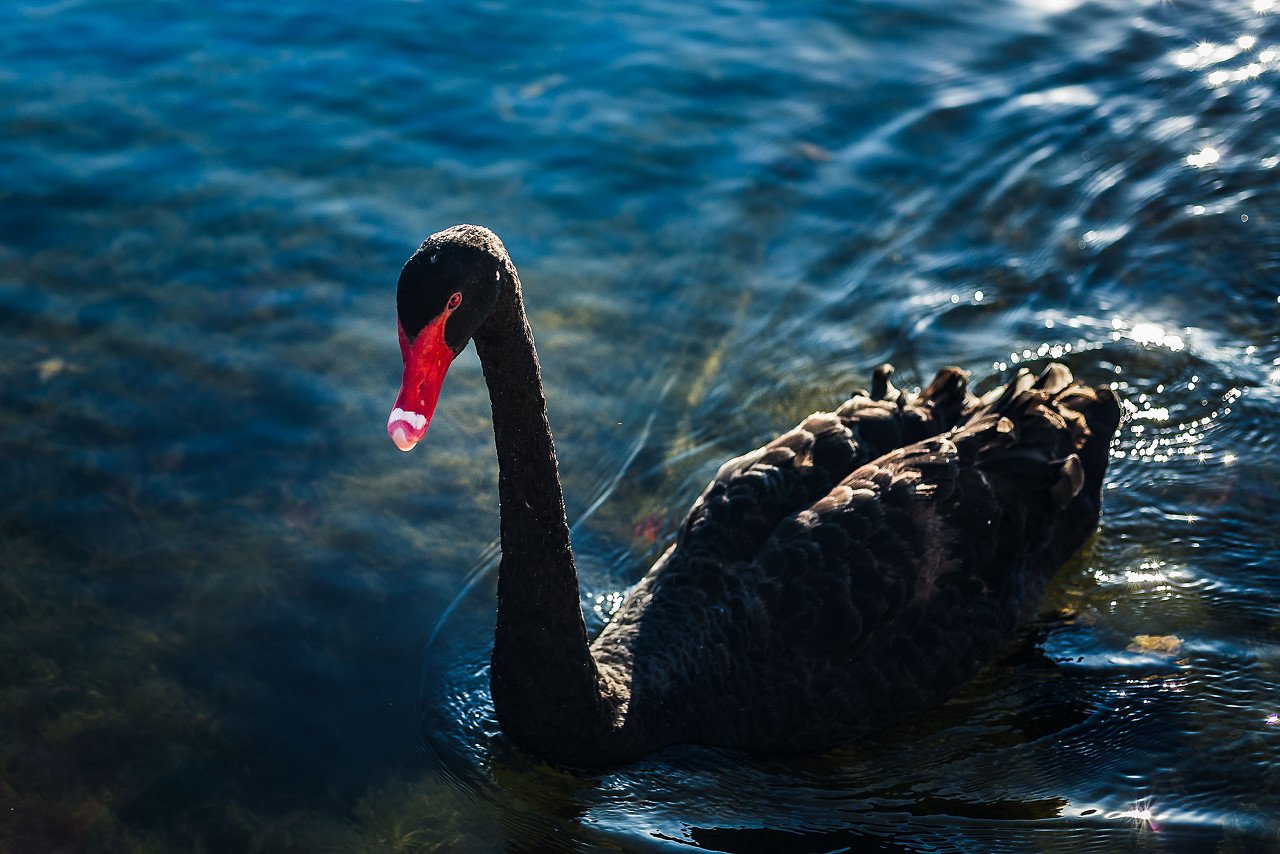法国“政治地震”掀起欧洲金融风暴！欧股、欧元大崩溃，巴克莱发出警告