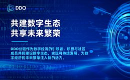 DDO公链：共建数字生态 共享未来繁荣