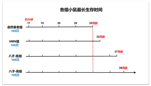 科研速递 | 八子补肾抗衰老取得系列成果，哺乳动物最长寿命延长9个月