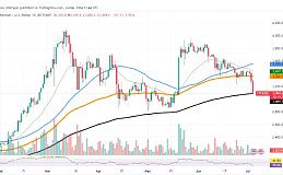 以太坊ETF炒作遇冷、SHIB将增加零、SOL达到 135 美元、牛走了吗？