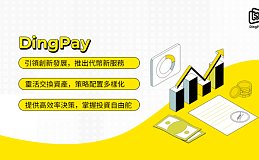 DingPay：引领DePIN投资新潮流