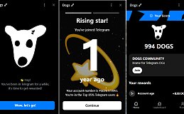 TON生态Meme币DOGS火爆全网 只需TG电报就能领取空投