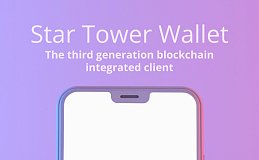 法国 StarTowerChain 团队的 RIP 技术：颠覆传统互联网