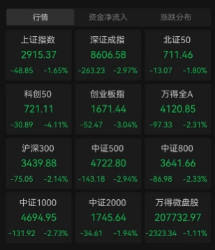 四大股指全绿！科创板大跌4%，A股上热搜，连续6个交易日“托市”的神秘资金作壁上观，这究竟是为何？