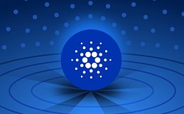 ADA 鲸鱼增持, 价格能涨到哪