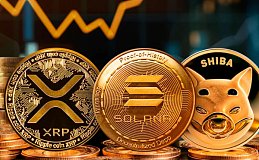 XRP 即将到来：发生了什么？SOL 获得主要支持、SHIB 表现疲软