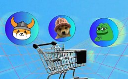 牛市来临!这4种模因币将主导加密货币牛市!