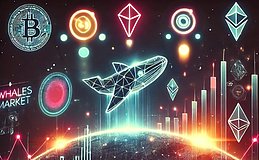 代币发行的游戏规则改变者:深入了解Whales Market、Coral Finance、Bubbly和Agent