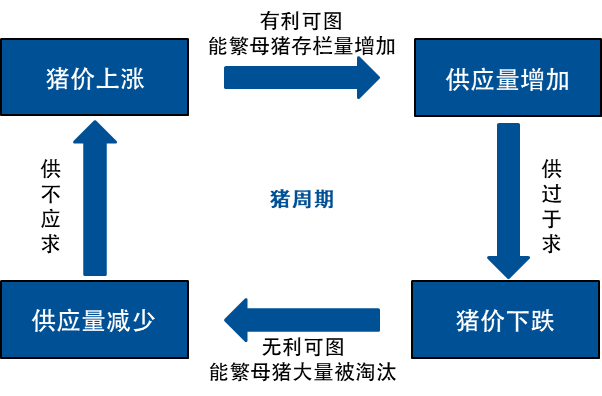 从两要素、四阶段出发，化繁为简看猪周期投资规律