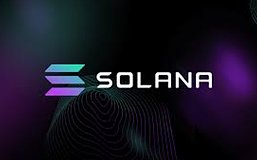 Solana最新现状：Solana上正发生什么？