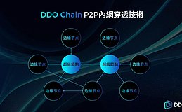 DDO Chain：领先的去中心化分布式加密数据存储方案