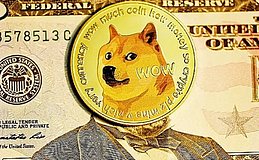 DOGE（狗狗币）在 2024 年的十字路口：是走向辉煌还是没落？