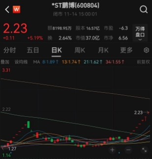 ST板块遭重锤！“924行情”以来第二只特停股出现，“带头大哥”*ST鹏博明起停牌核查，连续8个交易日涨停