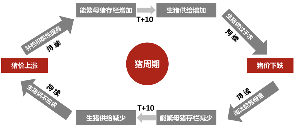 猪猪旺季将至，本轮猪周期将如何演绎？