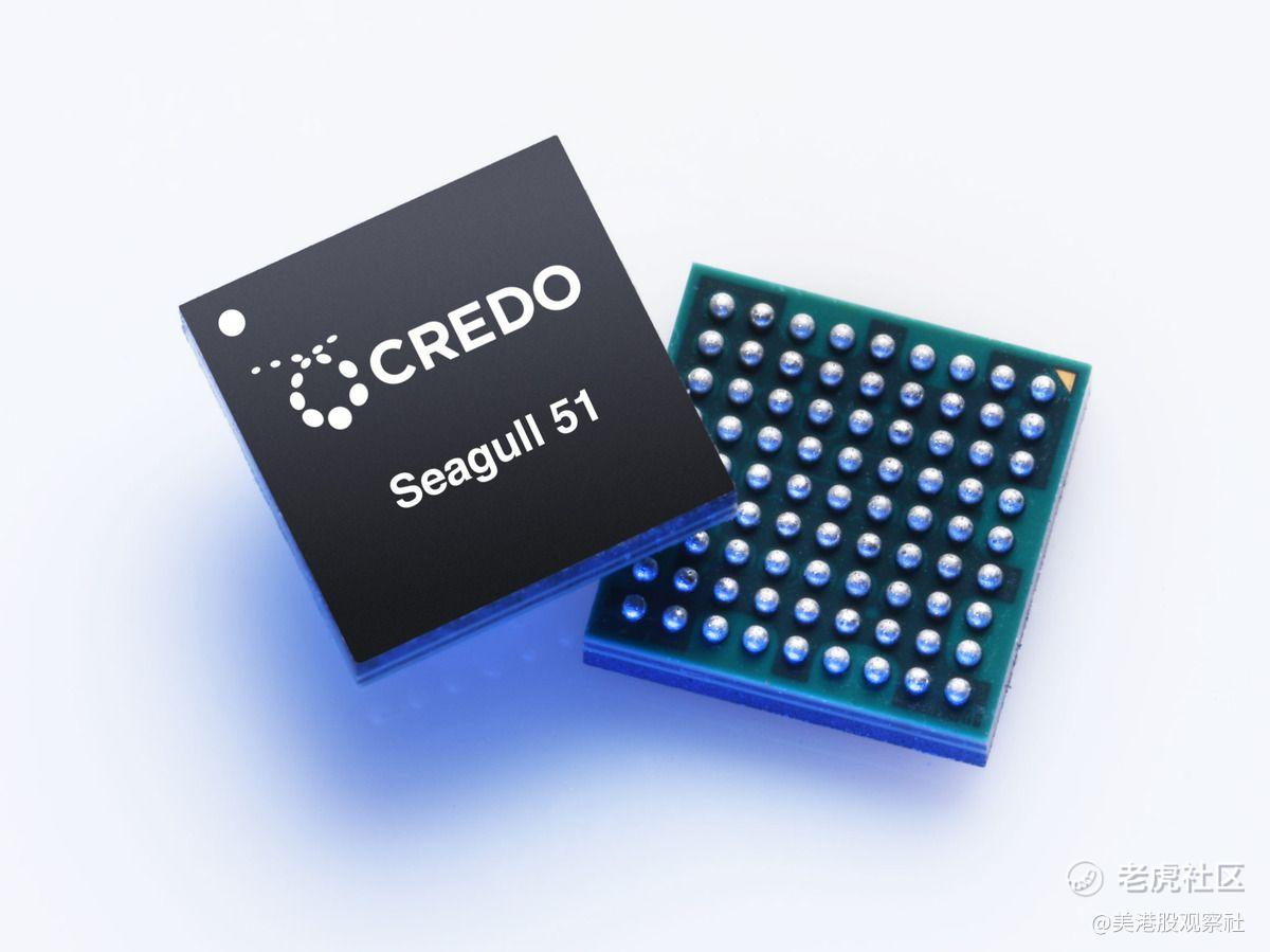 Credo不能永远抵抗地心引力