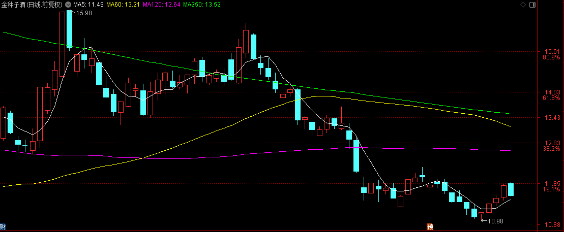金种子酒2024预亏超2亿，总经理何秀侠的徽酒第一梯队梦能否成真？