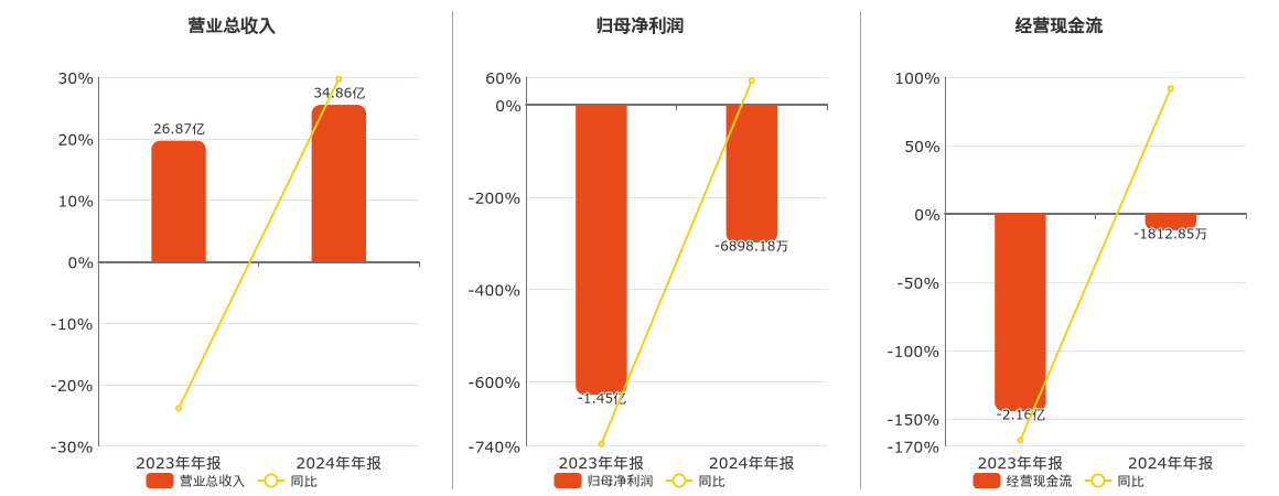 宏创控股(002379.SZ)：2024年年报净利润为-6898.18万元
