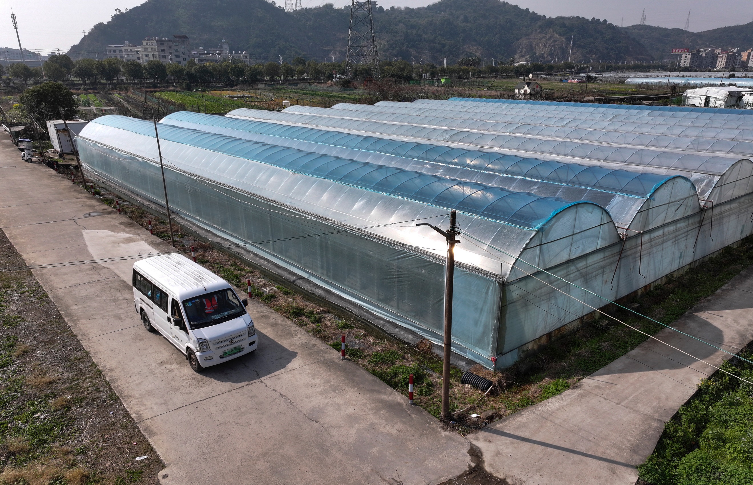 多多买菜激发创业活力，乡镇青年圆了“老板梦”