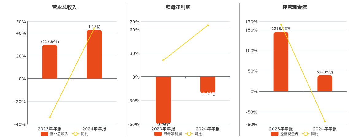 *ST名家(300506.SZ)：2024年年报净利润为-1.31亿元