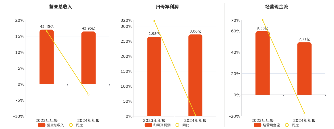 锦泓集团(603518.SH)：2024年年报净利润为3.06亿元
