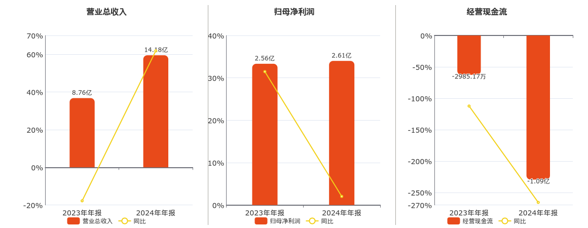 安德利(605198.SH)：2024年年报净利润为2.61亿元