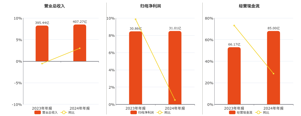 太阳纸业(002078.SZ)：2024年年报净利润为31.01亿元