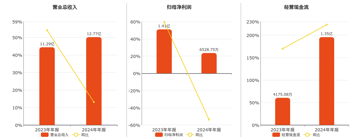 龙源技术(300105.SZ)：2024年年报净利润为6528.75万元、同比较去年同期下降53.77%