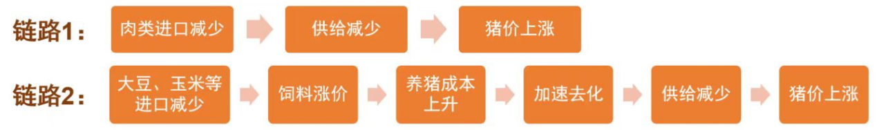 核心影响不变，关注2025年猪价反弹机会