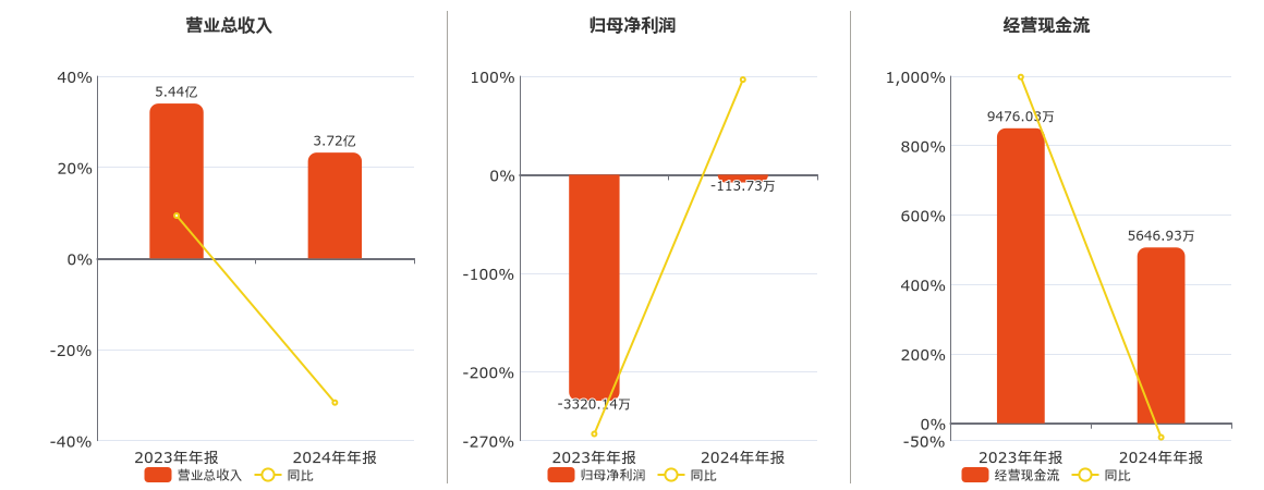 大宏立(300865.SZ)：2024年年报净利润为-113.73万元