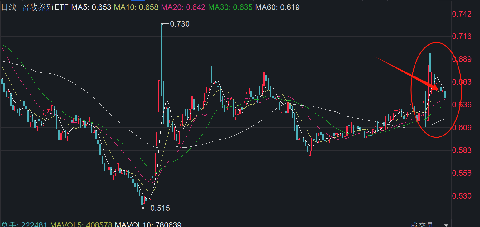 回踩20日均线，猪肉板块中期买点？