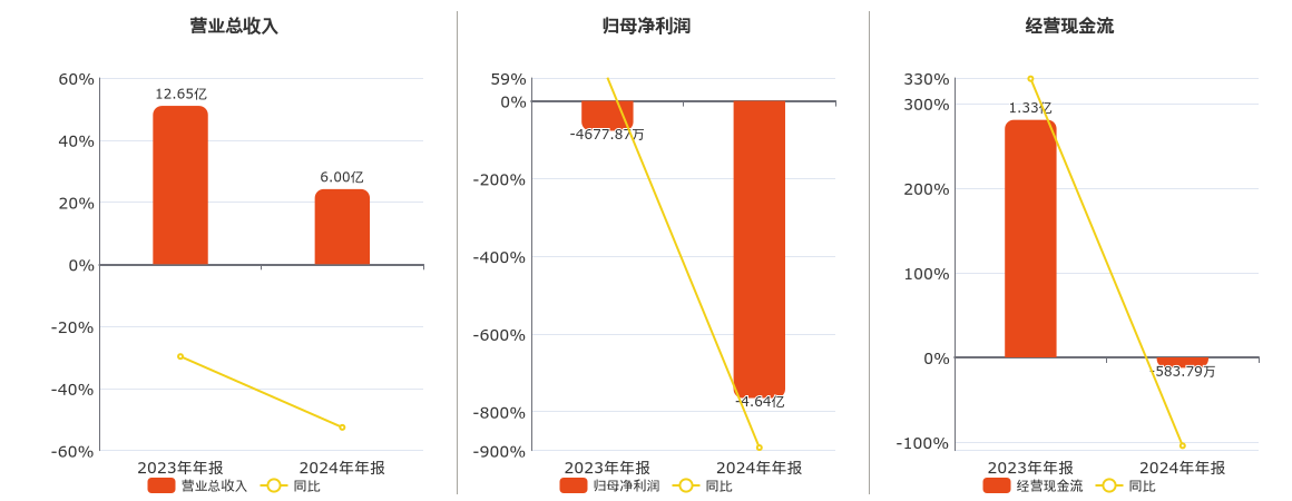 雪浪环境(300385.SZ)：2024年年报净利润为-4.64亿元，同比亏损放大