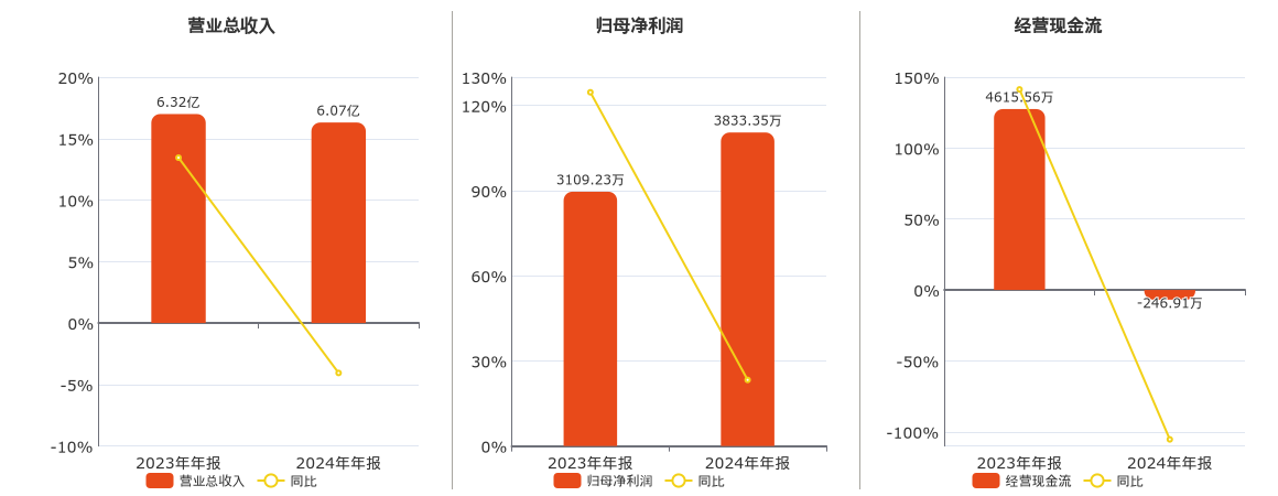 安记食品(603696.SH)：2024年年报净利润为3833.35万元