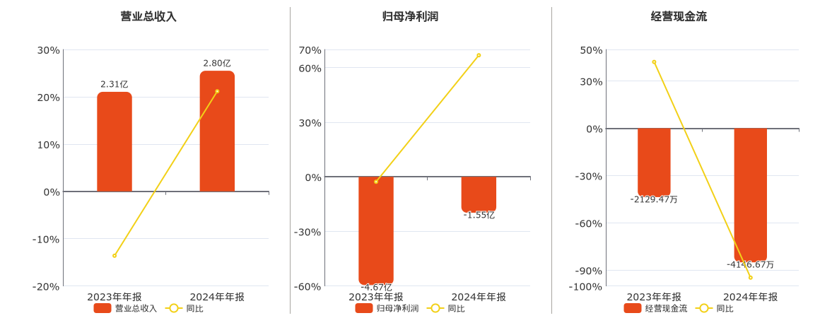 辉丰股份(002496.SZ)：2024年年报净利润为-1.55亿元