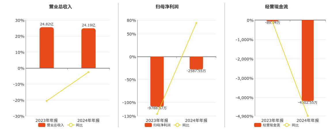 先达股份(603086.SH)：2024年年报净利润为-2587.55万元